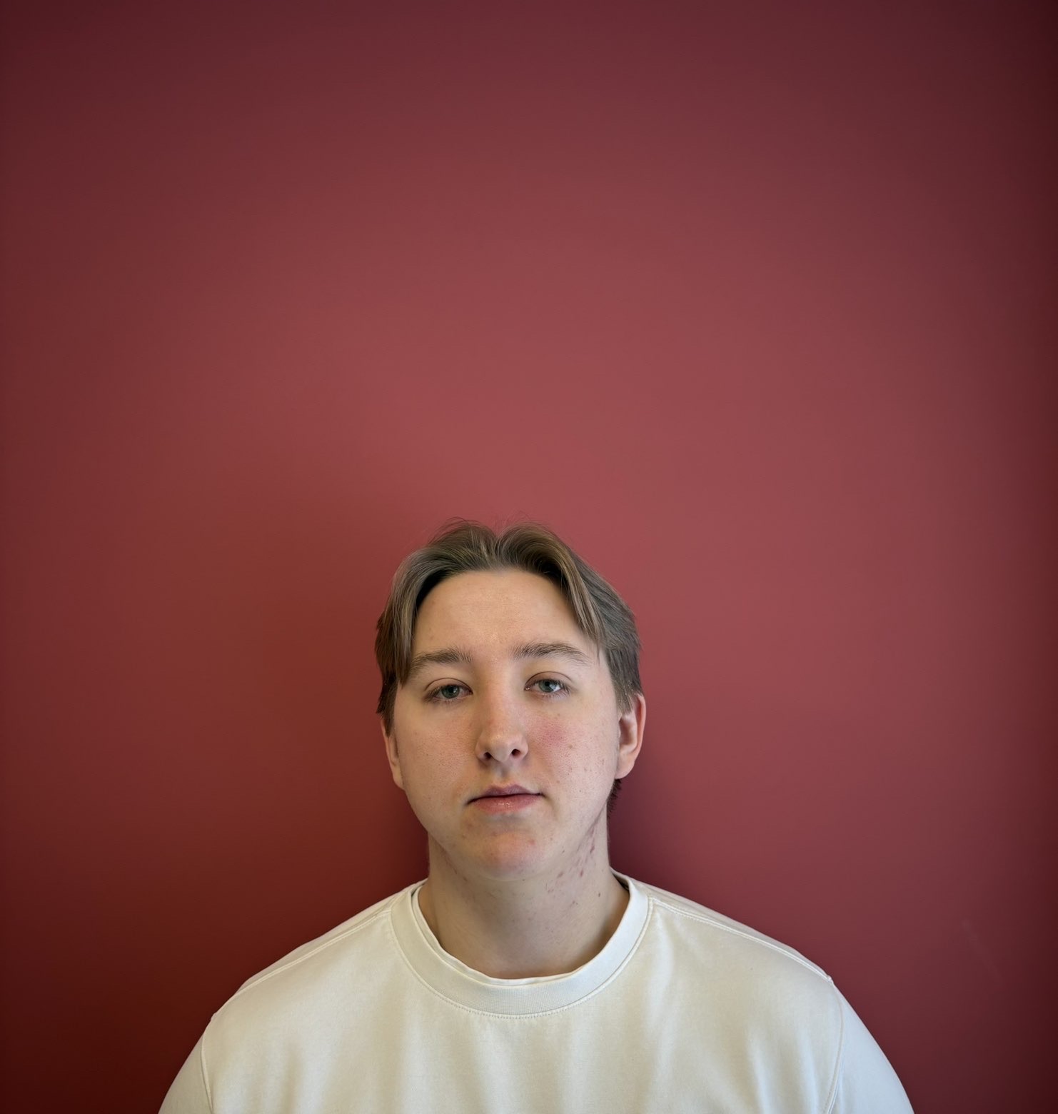 Niklas F. Årøy